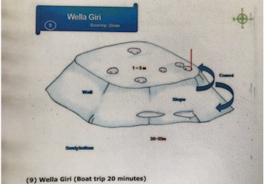 Wella Giri